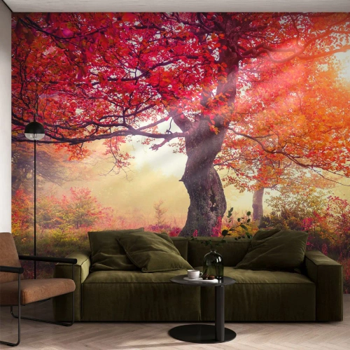 Fotomurali Autoadesivo Deluxe Sticker - L'esplosione della fioritura - Paesaggio, Parco, Fiori - 400x280 cm