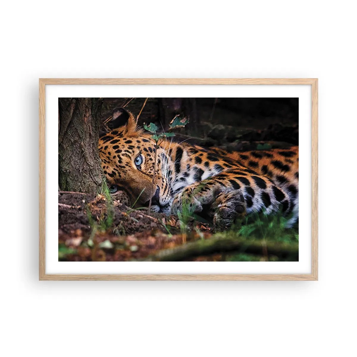 Poster in cornice rovere chiaro - Fidati di me - 70x50 cm