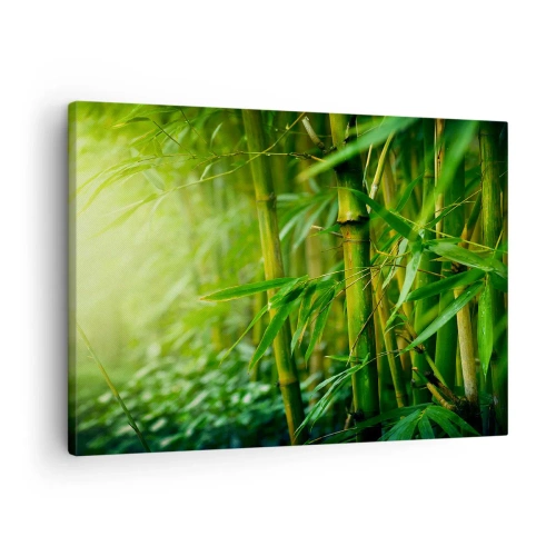 Quadro su tela - Stampe su Tela - Foresta di bambù verde in luce soffusa - 70x50cm - Conoscere il verde in sé - Decorazione murale moderna per soggiorno e camera da letto ARTTOR