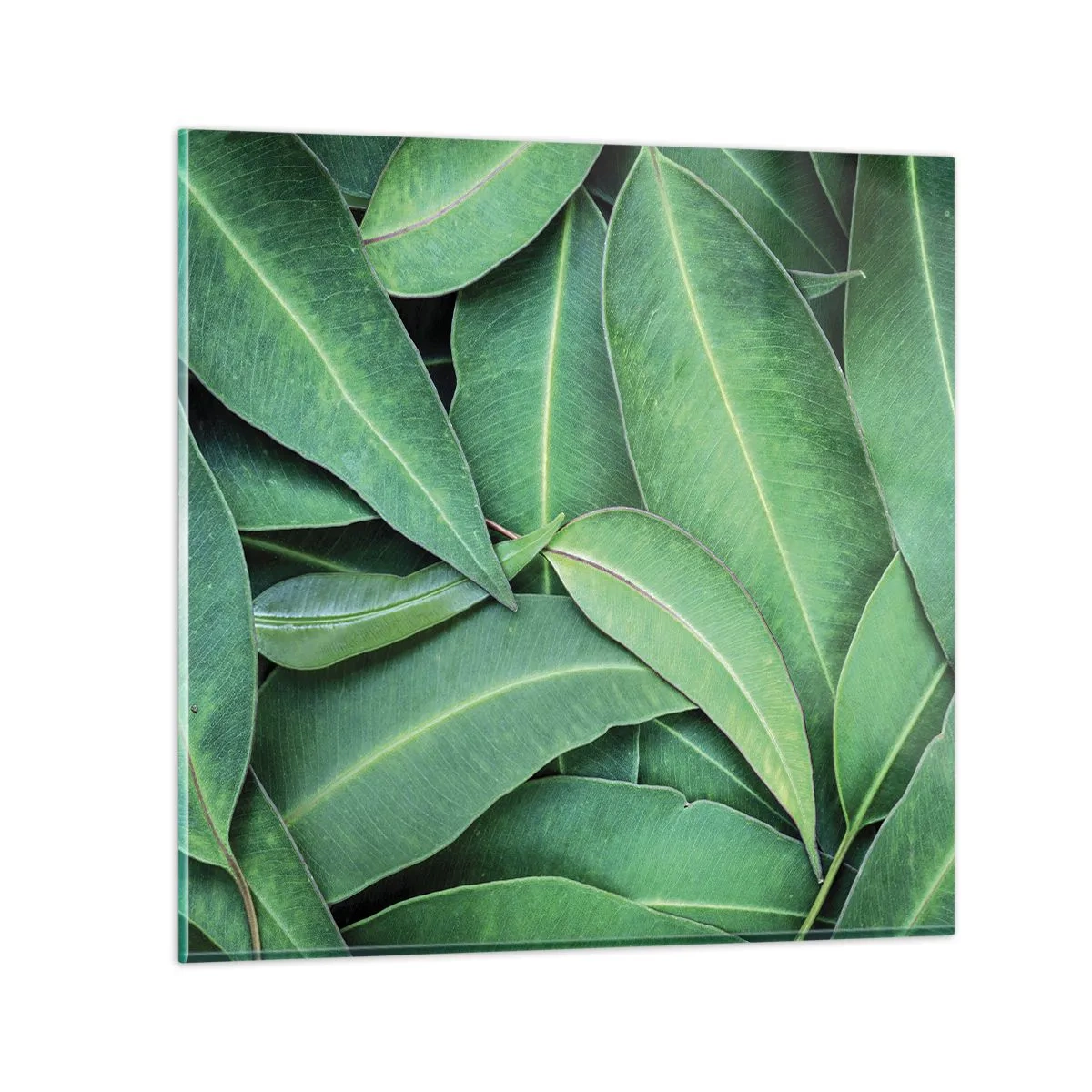 Quadro su vetro - Succosi e freschi - 60x60 cm