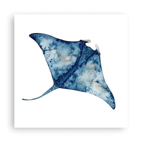 Poster - Vita nel blu - 50x50 cm