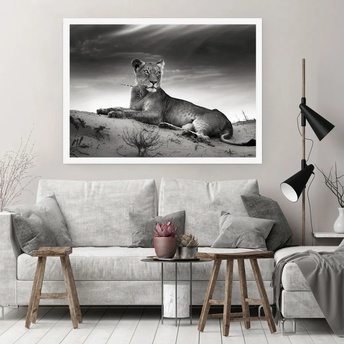 Poster - Il riposo della regina del deserto - 50x40 cm