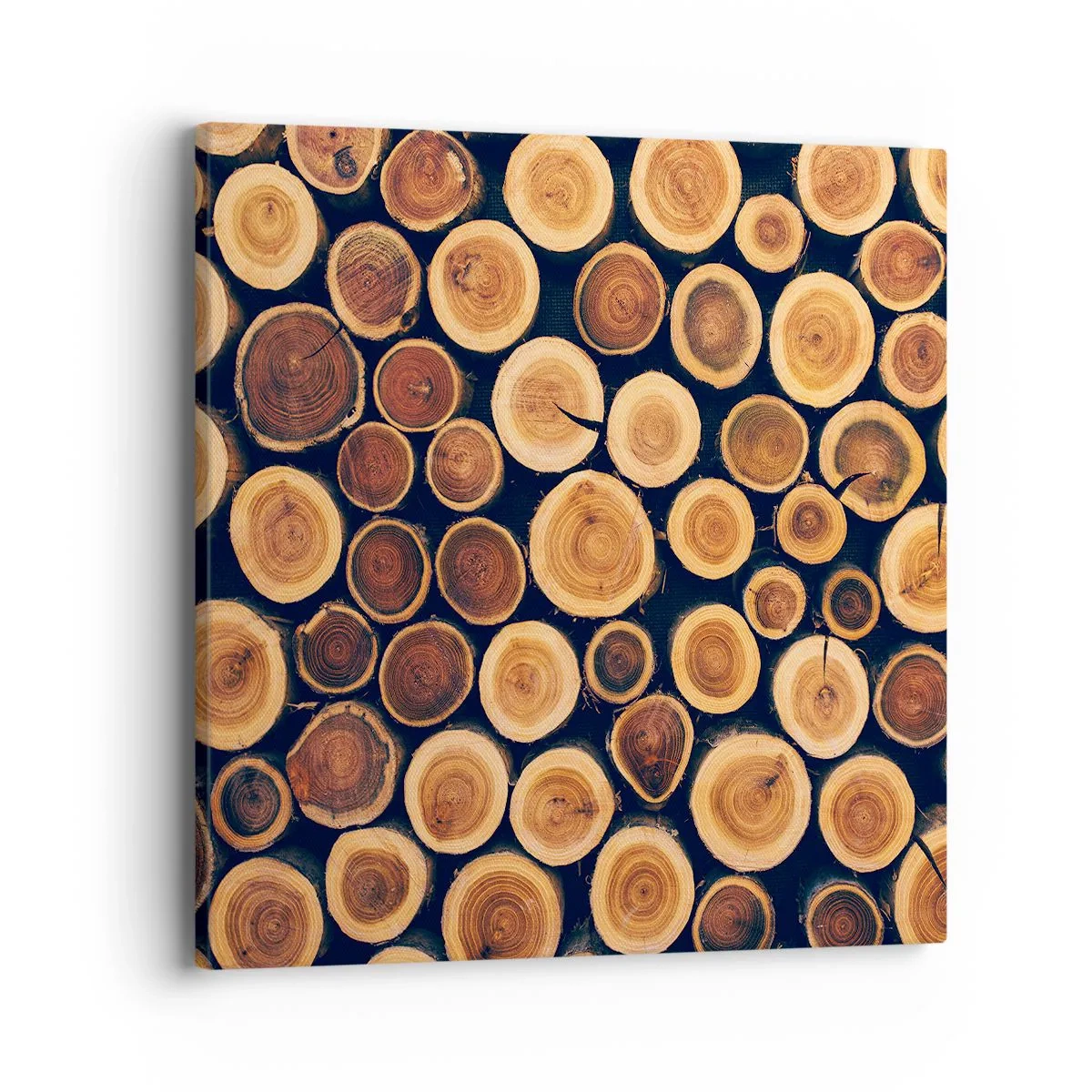 Quadro su tela - Stampe su Tela - Quanti anni mi dai? - 40x40 cm