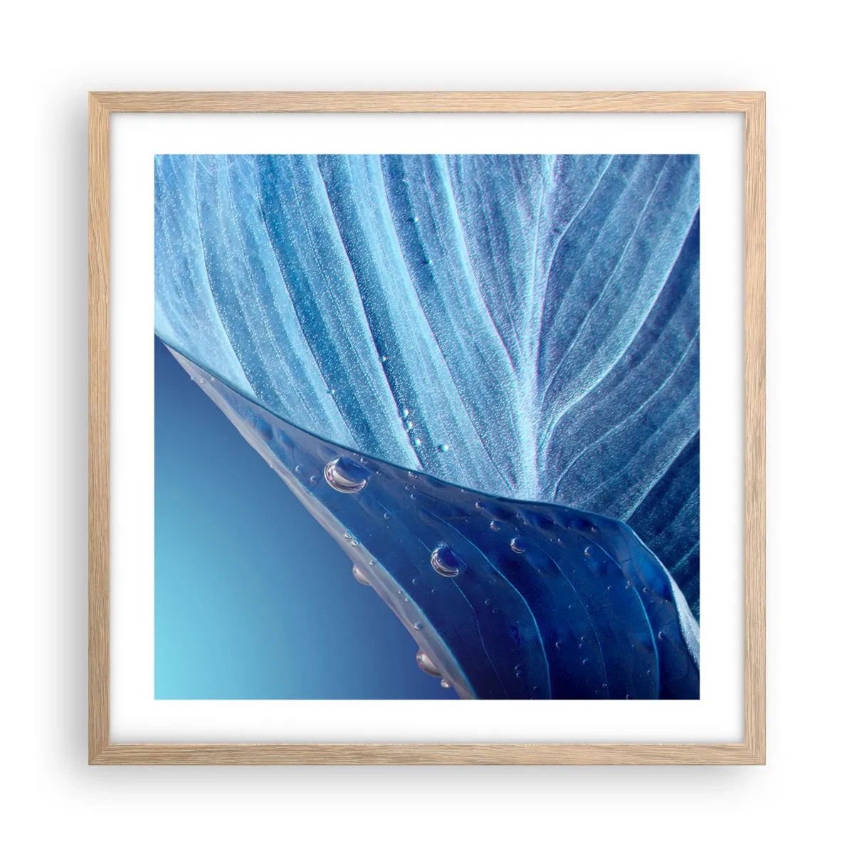Poster in cornice rovere chiaro - Gocce di blu nascoste - 50x50 cm