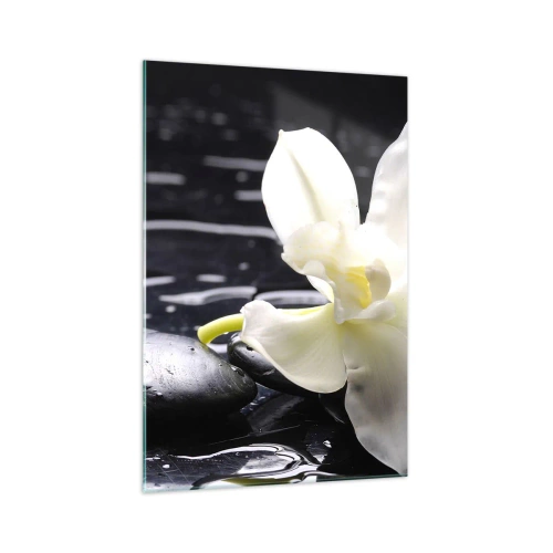 Quadro su vetro - Un'orchidea bianca su uno sfondo di pietre nere e acqua. - 70x100cm - Studio in bianco e nero - Decorazione murale moderna per soggiorno e camera da letto ARTTOR