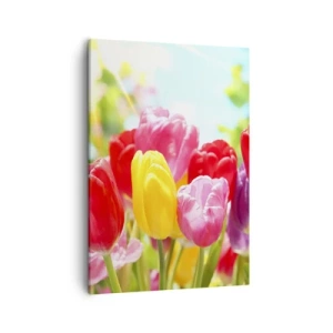 Quadro su tela - Stampe su Tela - Tulipani colorati in piena fioritura su uno sfondo primaverile - 50x70cm - Eccoci, i colori di maggio! - Decorazione murale moderna per soggiorno e camera da letto ARTTOR
