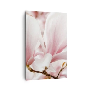 Quadro su tela - Stampe su Tela - Delicati fiori di magnolia in tonalità pastello - 80x120cm - Tenerezza senza fine - Decorazione murale moderna per soggiorno e camera da letto ARTTOR