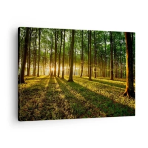 Quadro su tela - Stampe su Tela - Il sole al tramonto nella foresta decidua - 70x50cm - La foto di ogni primavera - Decorazione murale moderna per soggiorno e camera da letto ARTTOR