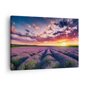 Quadro su tela - Stampe su Tela - Un campo di lavanda al tramonto con un cielo colorato - 70x50cm - Il mondo della lavanda - Decorazione murale moderna per soggiorno e camera da letto ARTTOR