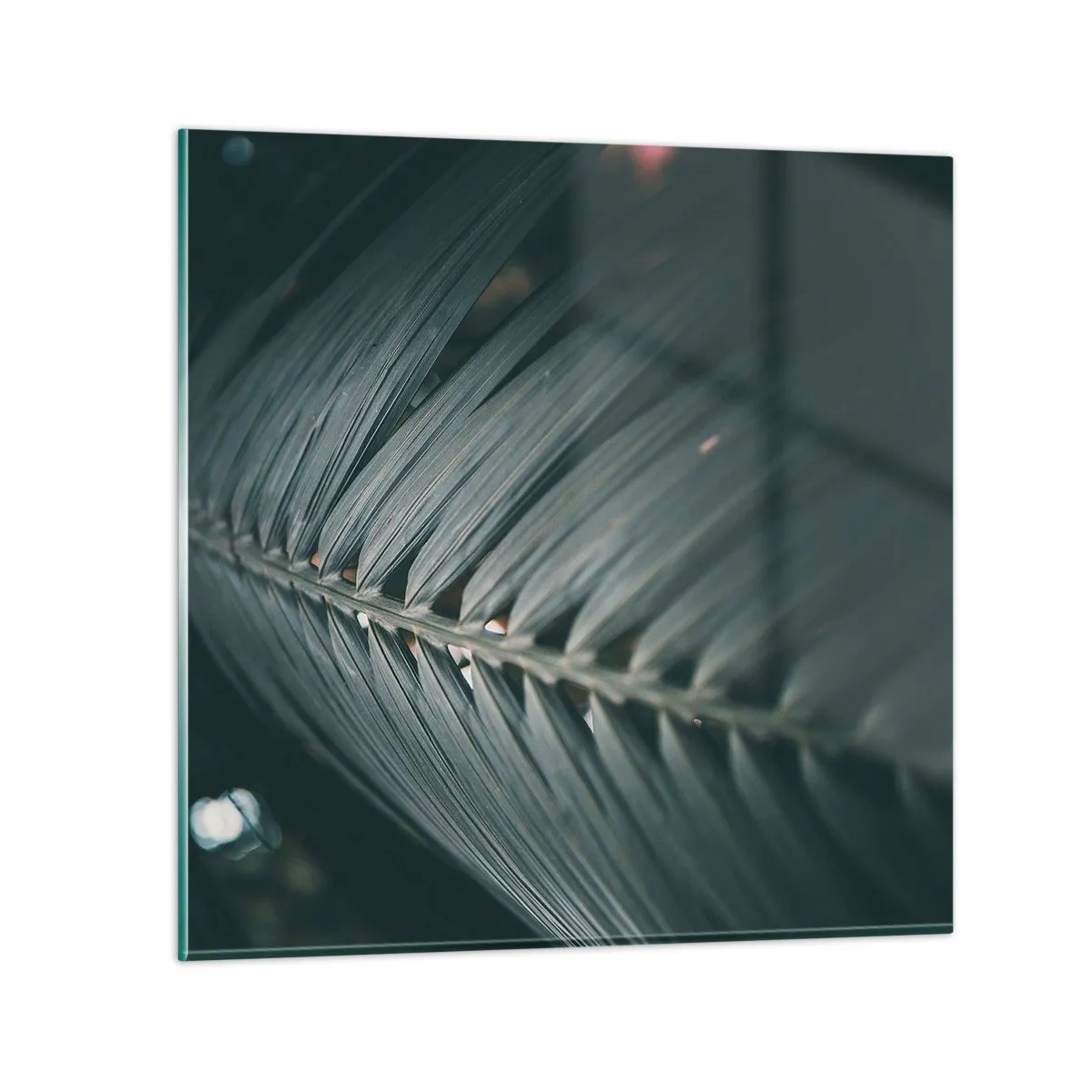 Quadro su vetro - La precisione della natura - 30x30 cm