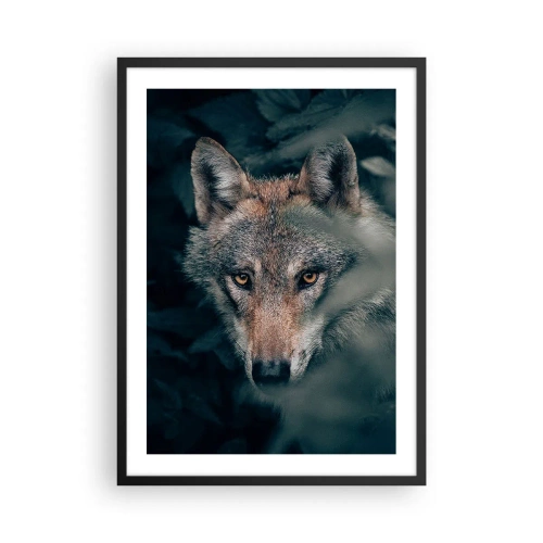 Poster in cornice nera - Ritratto di un lupo in una misteriosa foresta - 50x70cm - Cacciatore - Decorazione murale moderna per soggiorno e camera da letto ARTTOR