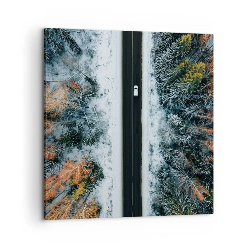 Quadro su tela - Stampe su Tela - Tagliando la foresta invernale - 50x50 cm