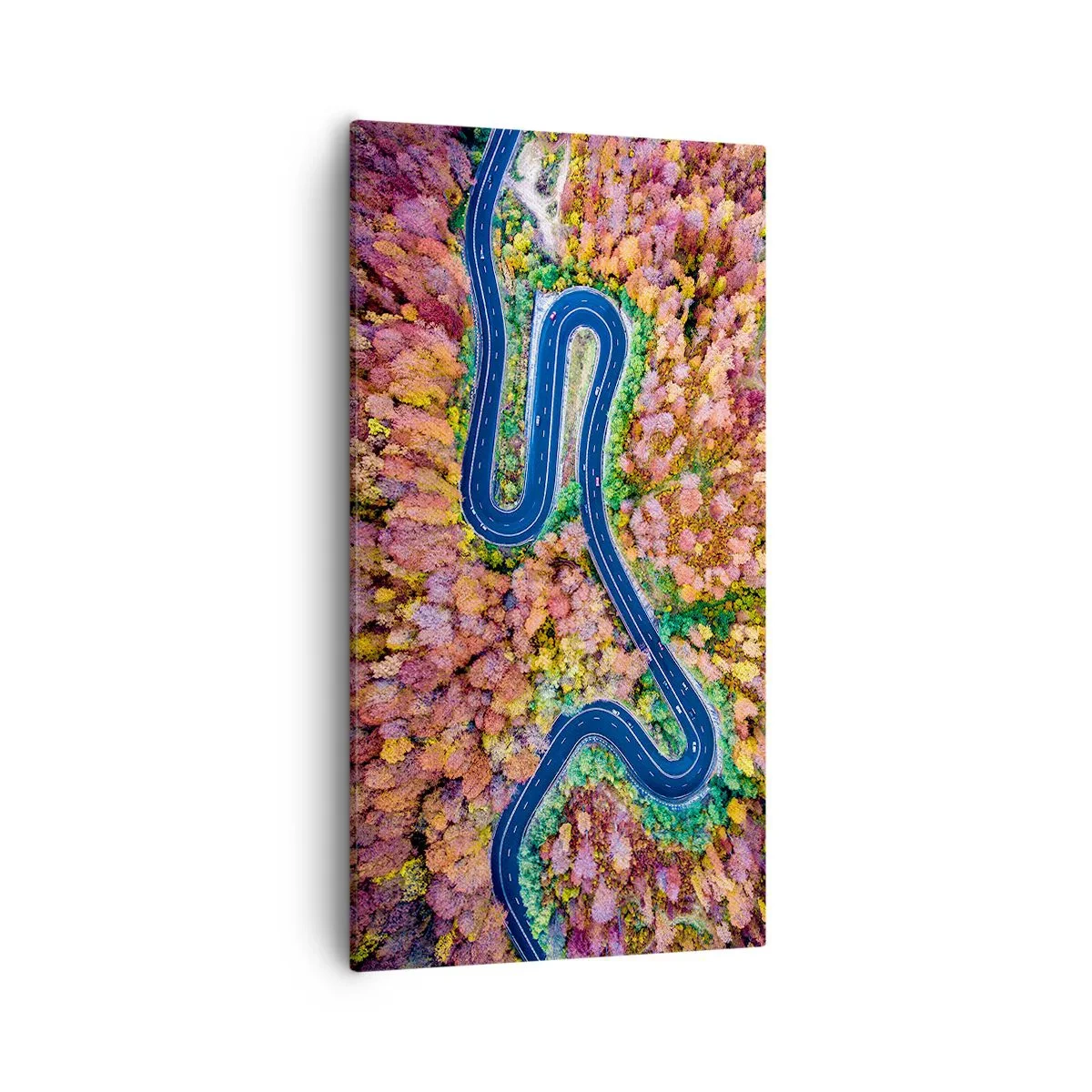 Quadro su tela - Stampe su Tela - Via tortuosa attraverso il bosco - 55x100 cm