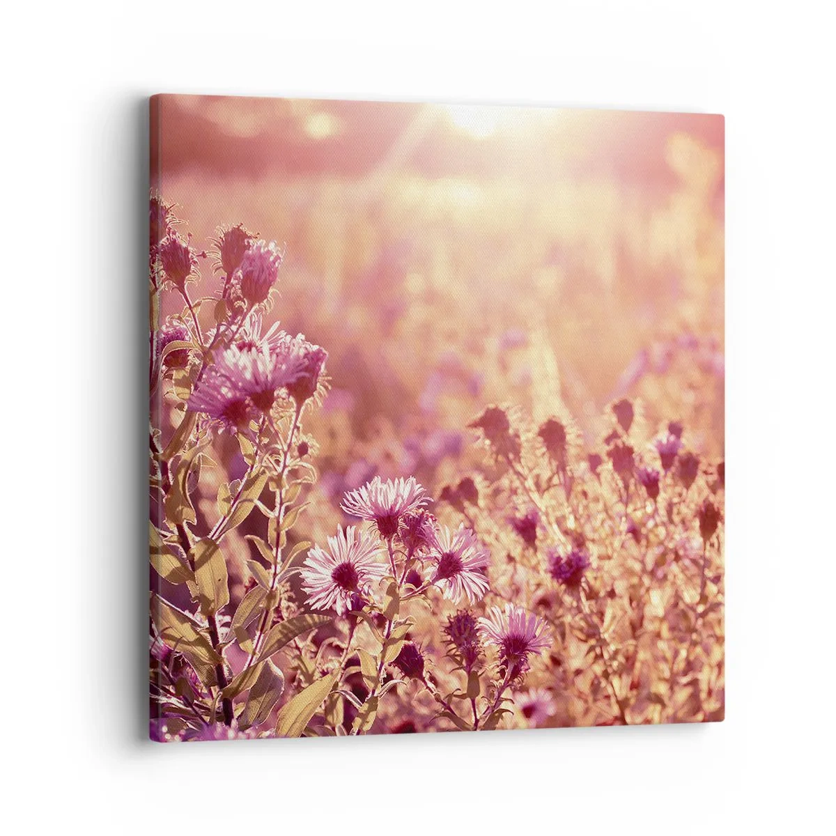 Quadro su tela - Stampe su Tela - Prima della fine dell'estate - 40x40 cm