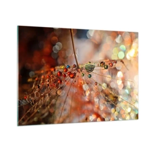 Quadro su vetro - Gocce d'acqua su una delicata ragnatela in luce bokeh - 100x70cm - Posate sulla ragnatela - Decorazione murale moderna per soggiorno e camera da letto ARTTOR