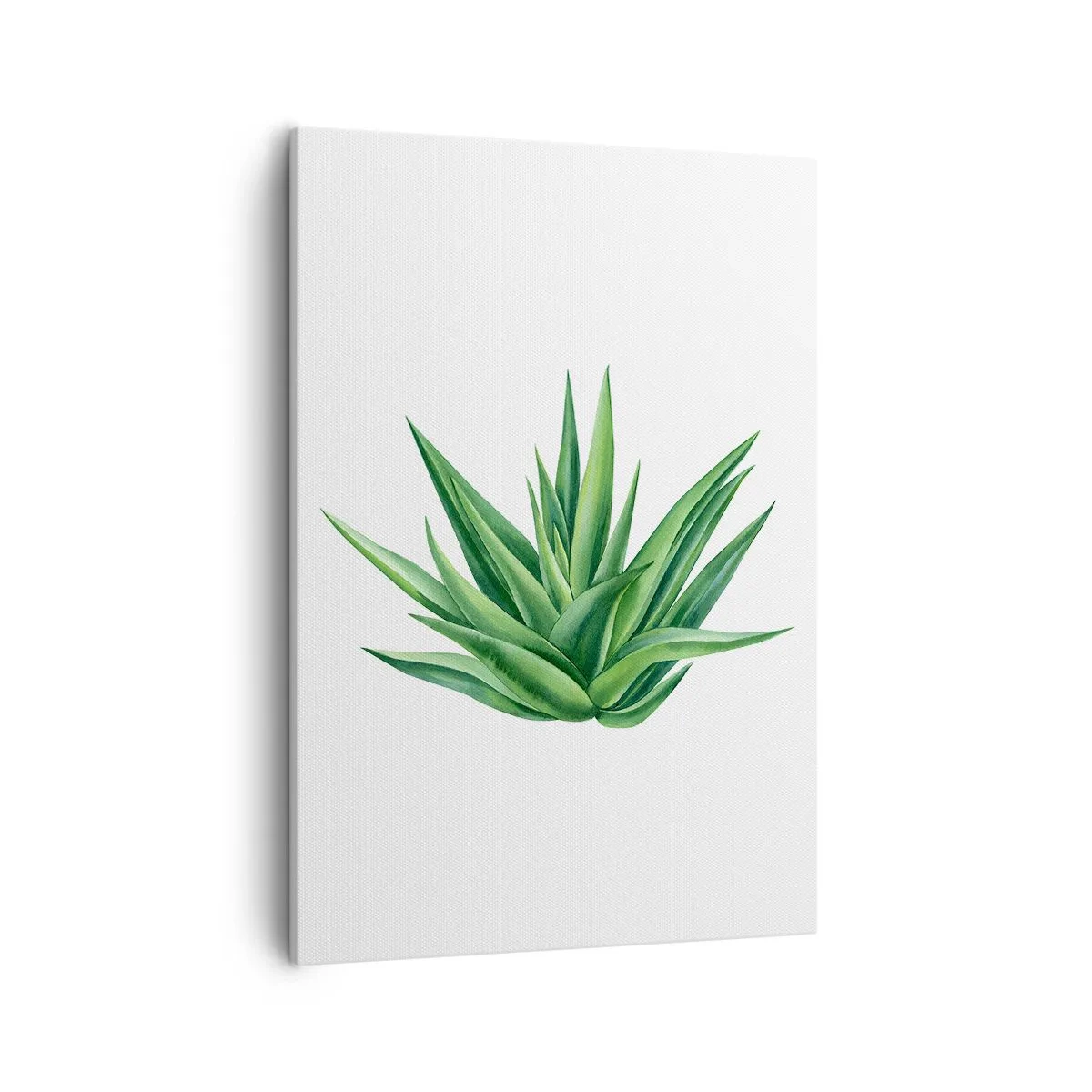Quadro su tela - Stampe su Tela - Una pianta verde succosa su uno sfondo bianco - 50x70cm - Verde - forza - vita - Decorazione murale moderna per soggiorno e camera da letto ARTTOR