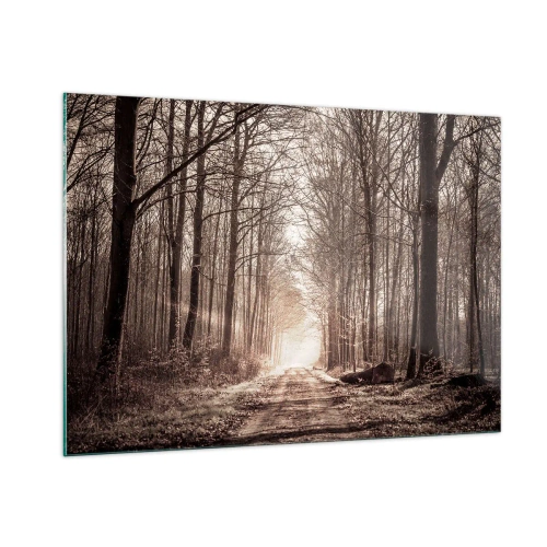 Quadro su vetro - Strada forestale nella nebbia mattutina - 100x70cm - La cattedrale del bosco - Decorazione murale moderna per soggiorno e camera da letto ARTTOR