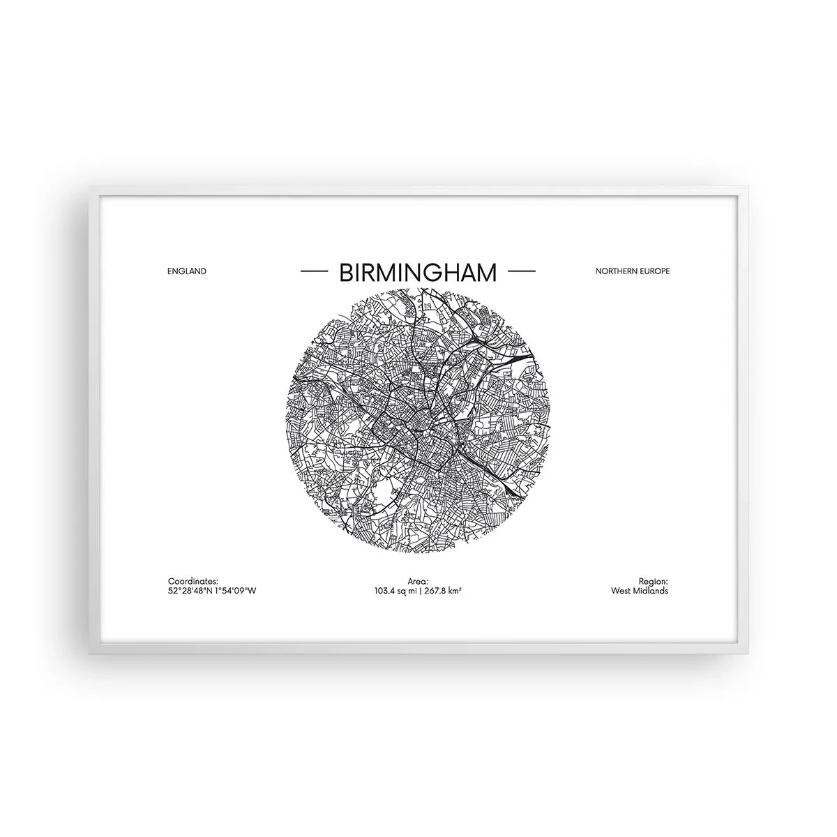 Poster in cornice bianca - Anatomia di Birmingham - 100x70 cm
