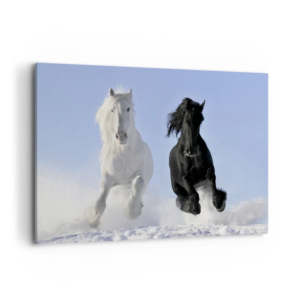 Quadro su tela - Stampe su Tela - Un cavallo bianco e uno nero che galoppano nella neve - 120x80cm - Galoppo in bianco e nero - Decorazione murale moderna per soggiorno e camera da letto ARTTOR