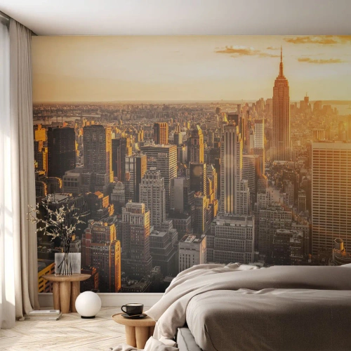 Fotomurali Standard Eco - Crescere al sole - Città, New York, Architettura - 200x140 cm