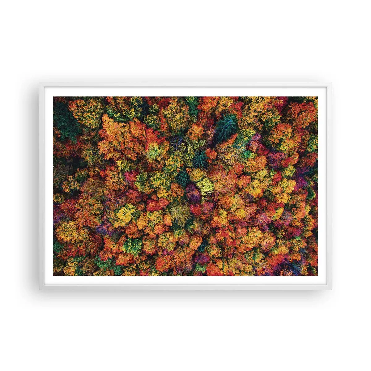Poster in cornice bianca - Il bouquet degli alberi d'autunno - 100x70 cm