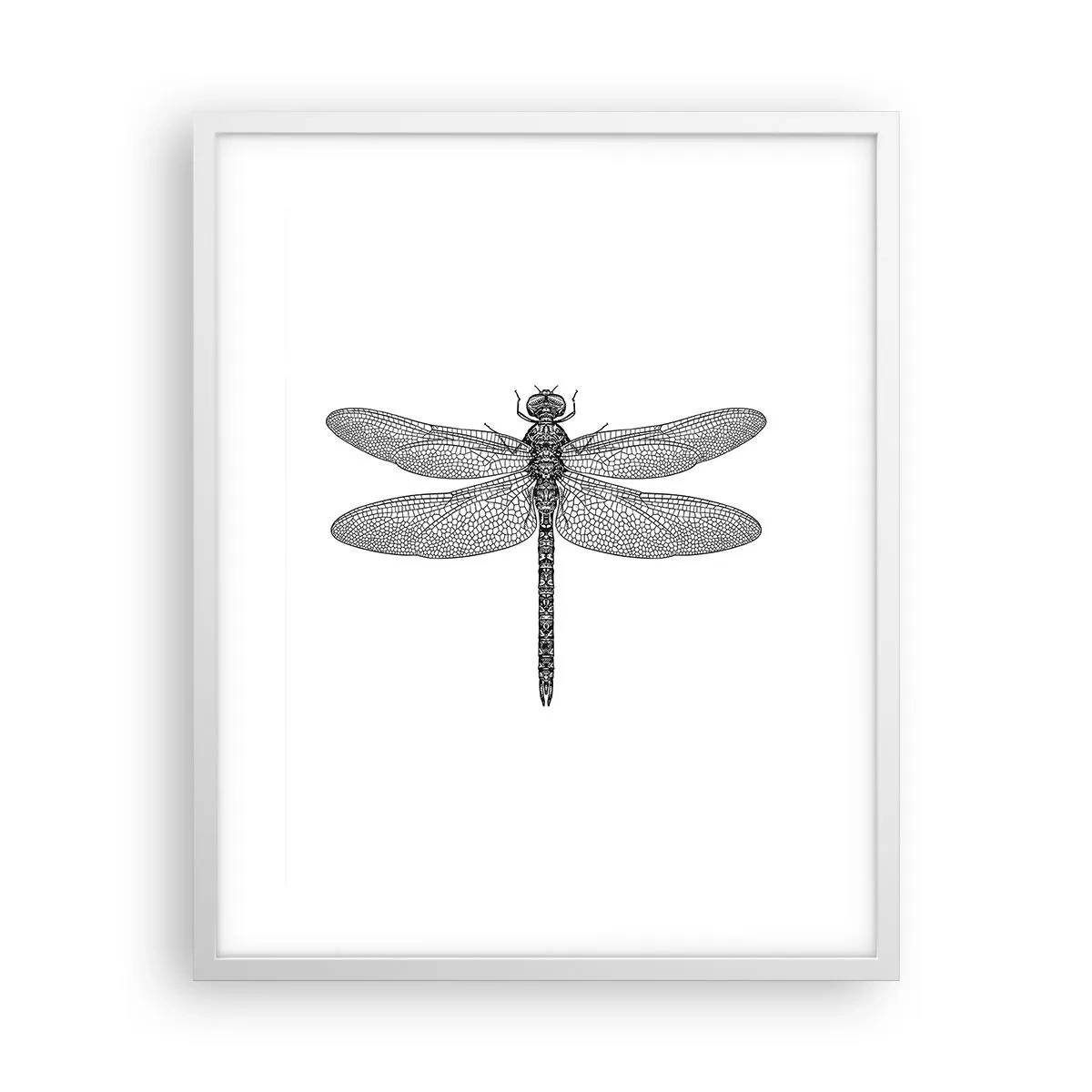 Poster in cornice bianca - La precisione della natura - 40x50 cm