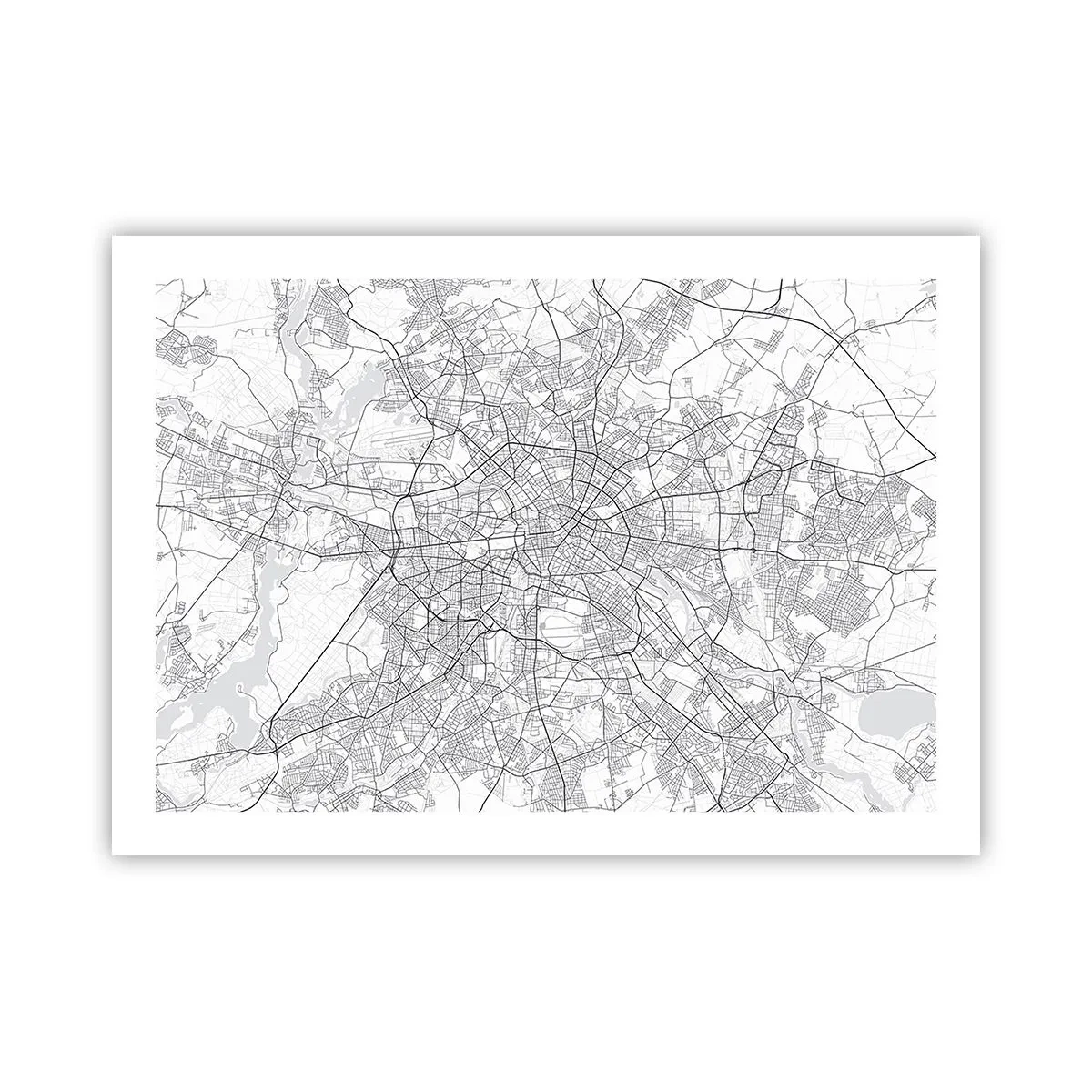Poster - Il fiore di Berlino - 70x50 cm
