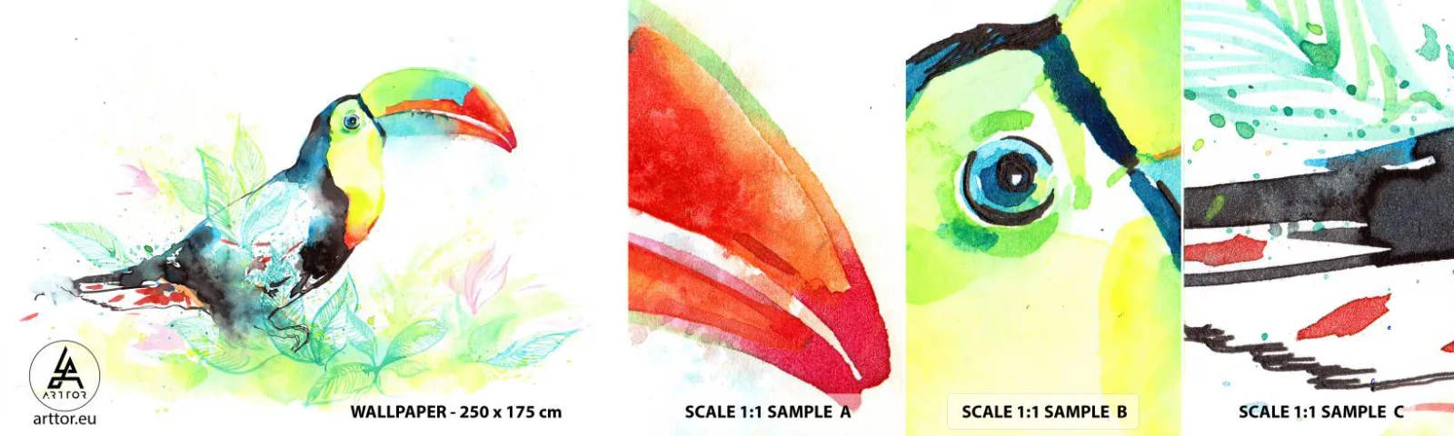 Campione Di Fotomurale Standard Eco - Colorato come l'America del Sud - Uccello, Tucano, Per bambini - 100x30 cm