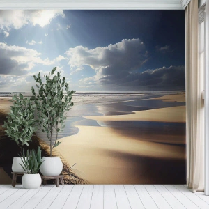 Fotomurale su misura Premium Sand - Spiaggia incontaminata - Spiaggia, Mare, Dune