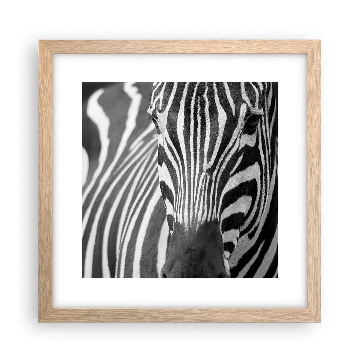 Poster in cornice rovere chiaro - Il mondo è in bianco e nero - 30x30 cm