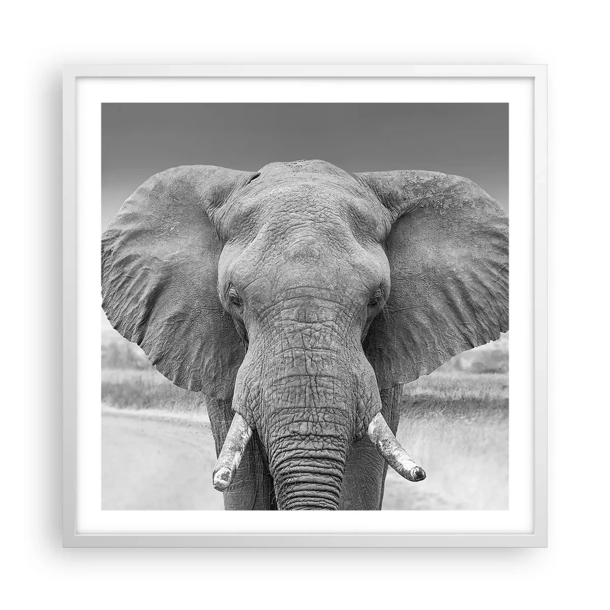 Poster in cornice bianca - Benvenuti nel mio mondo - 60x60 cm