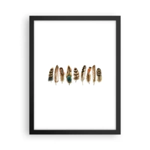 Poster in cornice nera - Composizione di piume - 30x40 cm