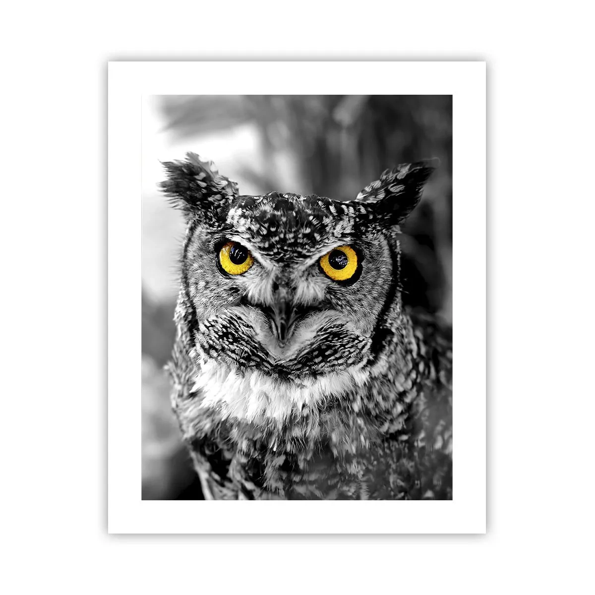 Poster - Non si può nascondere niente - 40x50 cm