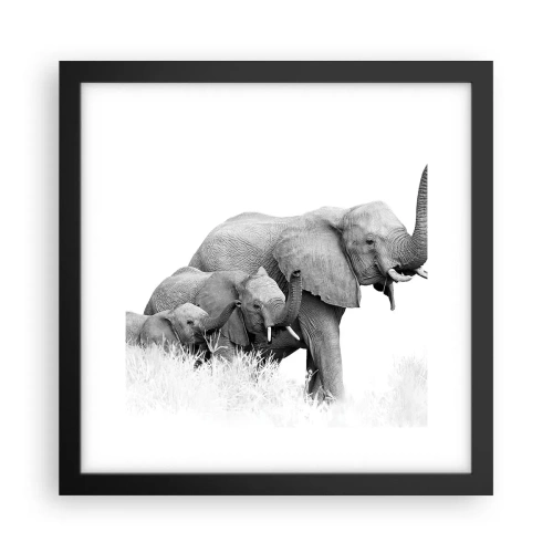 Poster in cornice nera - Uno, due, tre - 30x30 cm