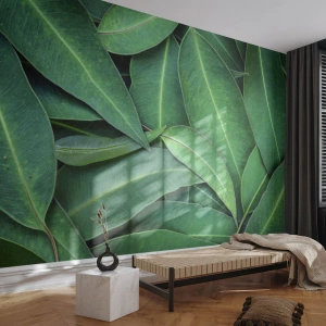 Fotomurali Premium Canvas - Succosi e freschi - Foglie, Eucalipto, Natura - 250x175 cm