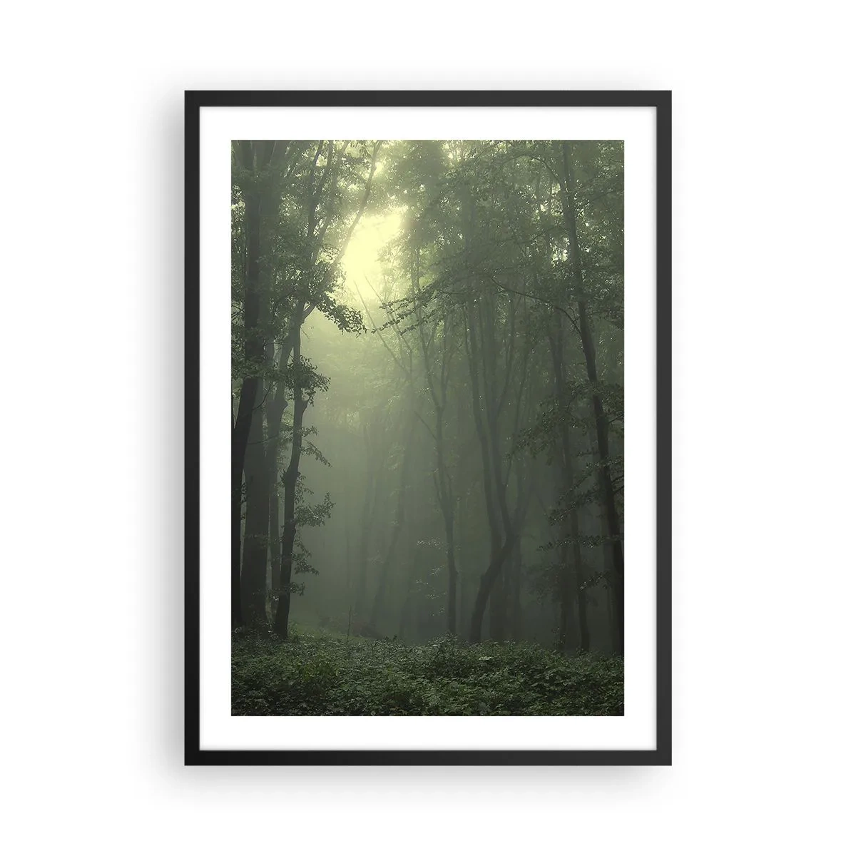 Poster in cornice nera - Alberi nebbiosi in una foresta verde - 50x70cm - Prima che si svegli - Decorazione murale moderna per soggiorno e camera da letto ARTTOR