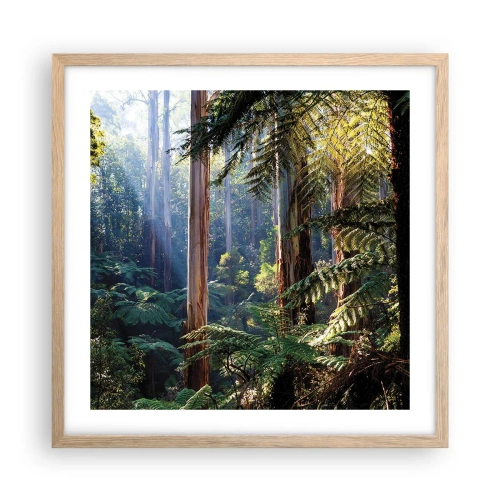 Poster in cornice rovere chiaro - La favola del bosco - 50x50 cm