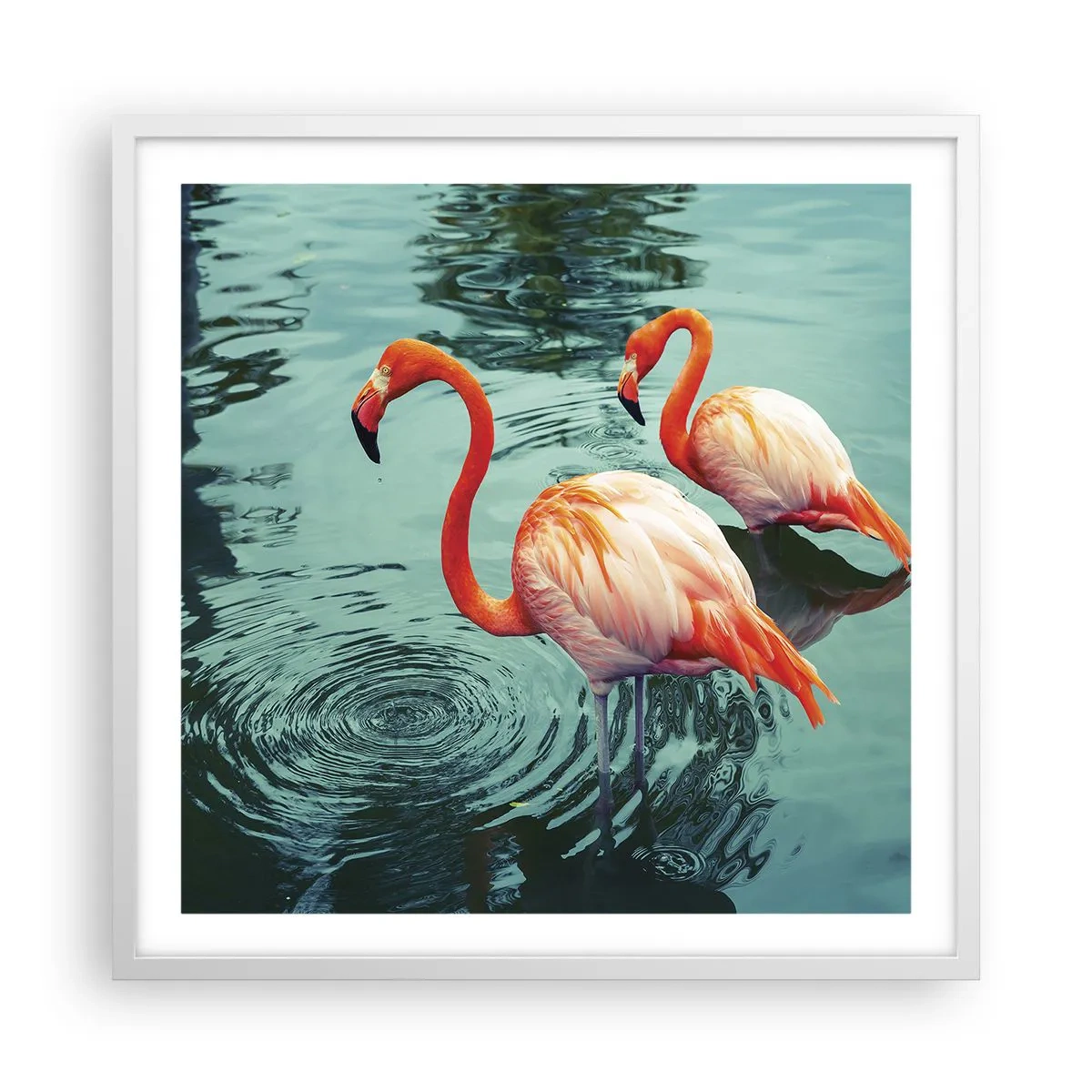 Poster in cornice bianca - Adesso siamo di moda - 60x60 cm