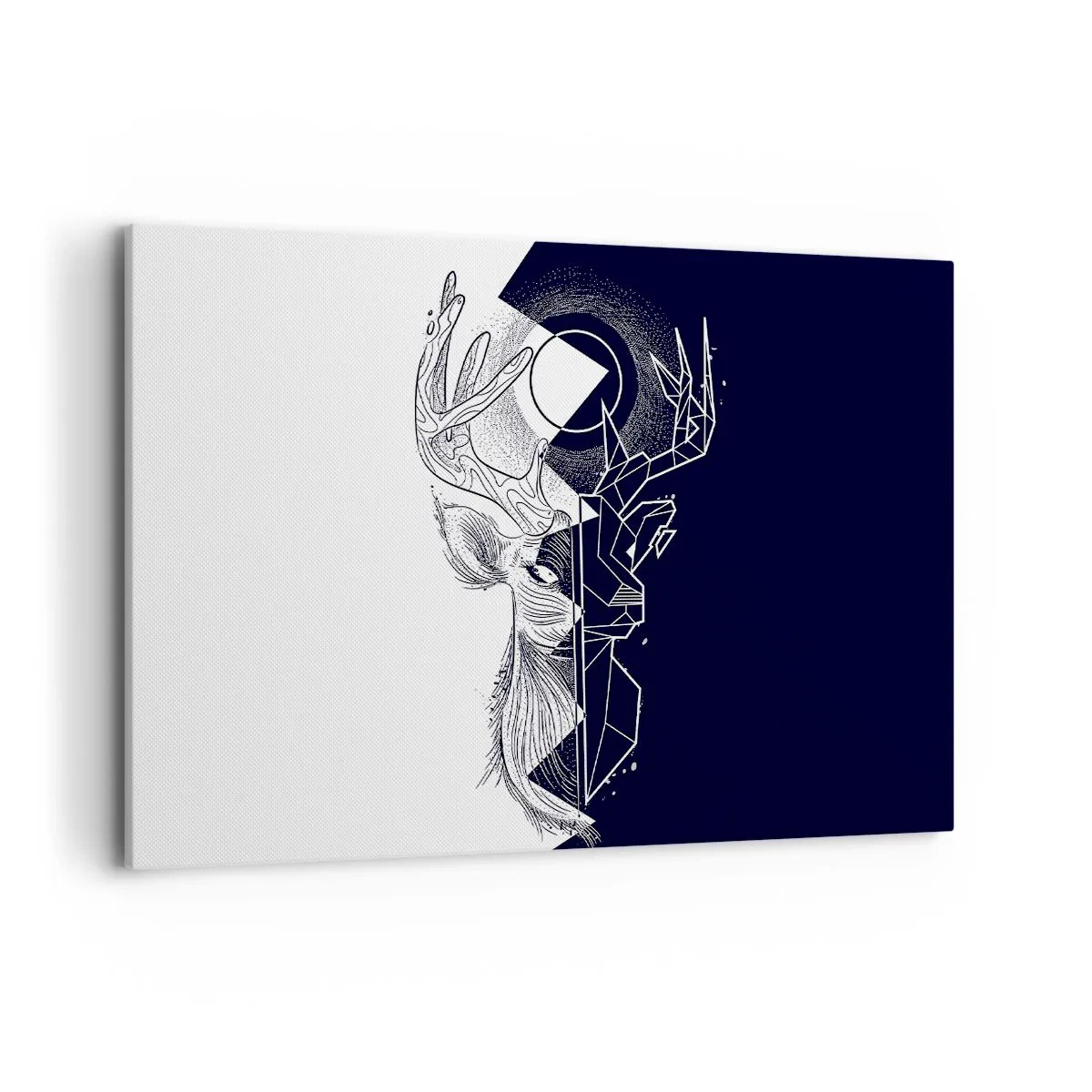 Quadro su tela - Stampe su Tela - Geometria e natura in una composizione simbolica - 120x80cm - Lotta e unità degli opposti - Decorazione murale moderna per soggiorno e camera da letto ARTTOR