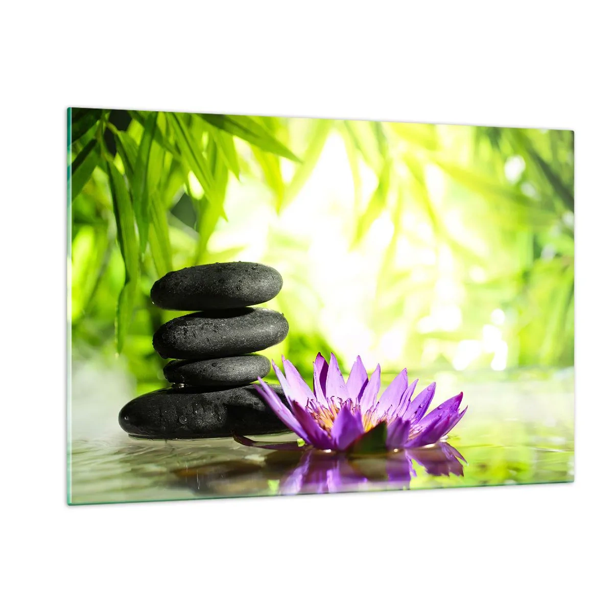 Quadro su vetro - Fiore di loto viola con pietre zen su sfondo verde - 120x80cm - In un cespuglio di bambù - Decorazione murale moderna per soggiorno e camera da letto ARTTOR
