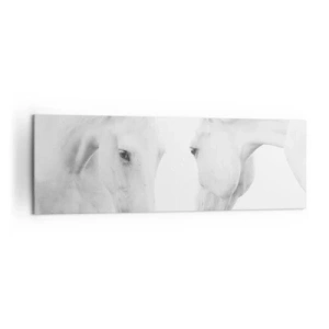 Quadro su tela - Stampe su Tela - Un ritratto minimalista di due cavalli bianchi - 160x50cm - È amicizia? - Decorazione murale moderna per soggiorno e camera da letto ARTTOR