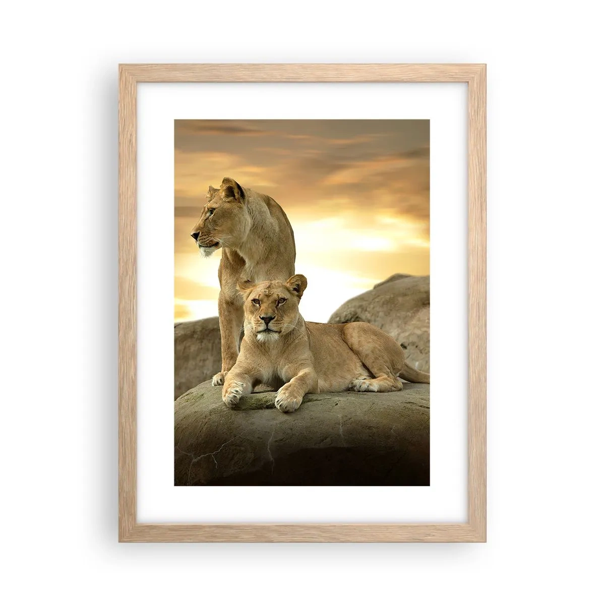 Poster in cornice rovere chiaro - Maestà reale - 30x40 cm