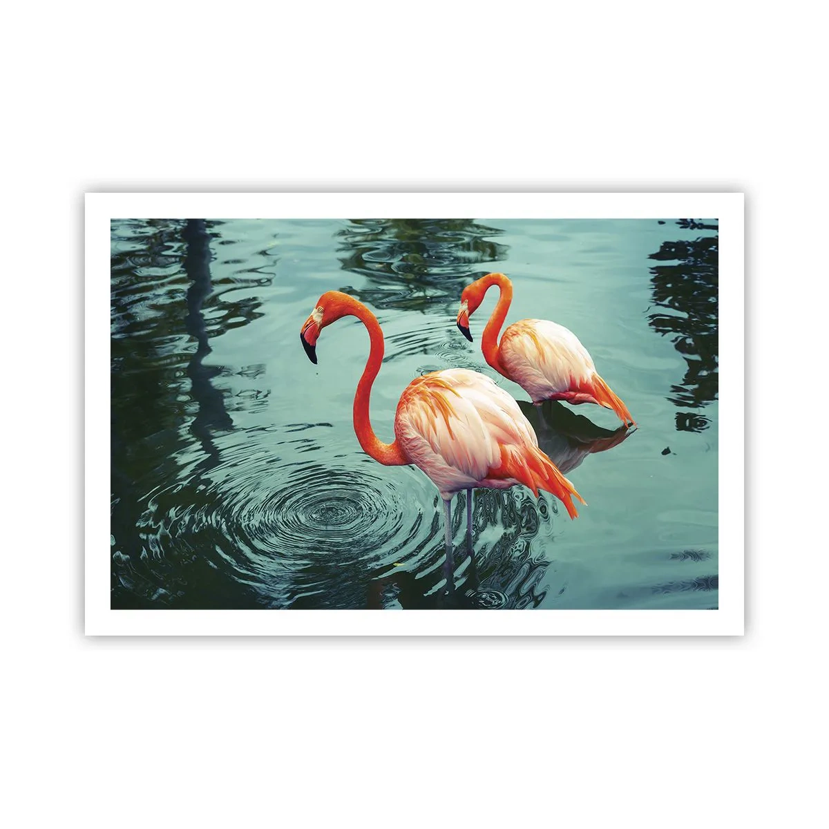 Poster - Adesso siamo di moda - 91x61 cm