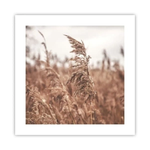 Poster - Nei campi è già autunno - 40x40 cm