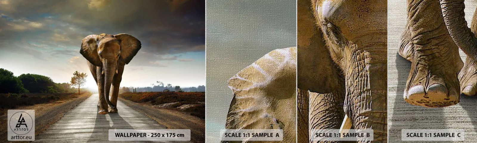Campione di Fotomurale Premium Canvas - E non nel negozio di cristalli - Elefante, Paesaggio, Natura - 100x30 cm