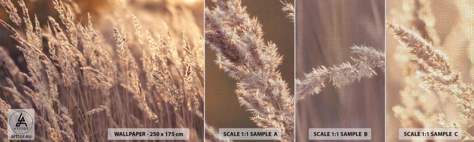 Campione di Fotomurale Premium Canvas - Pronti a salutare l'autunno - Paesaggio, Spighe di grano, Prato - 100x30 cm