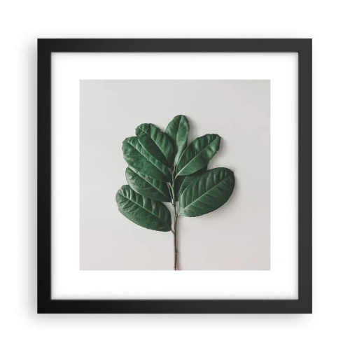 Poster in cornice nera - Il disegno della natura stessa - 30x30 cm