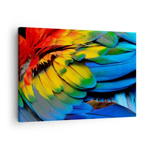 Quadro su tela - Stampe su Tela - Un primo piano delle piume colorate di un pappagallo - 70x50cm - L'uccello del paradiso - Decorazione murale moderna per soggiorno e camera da letto ARTTOR