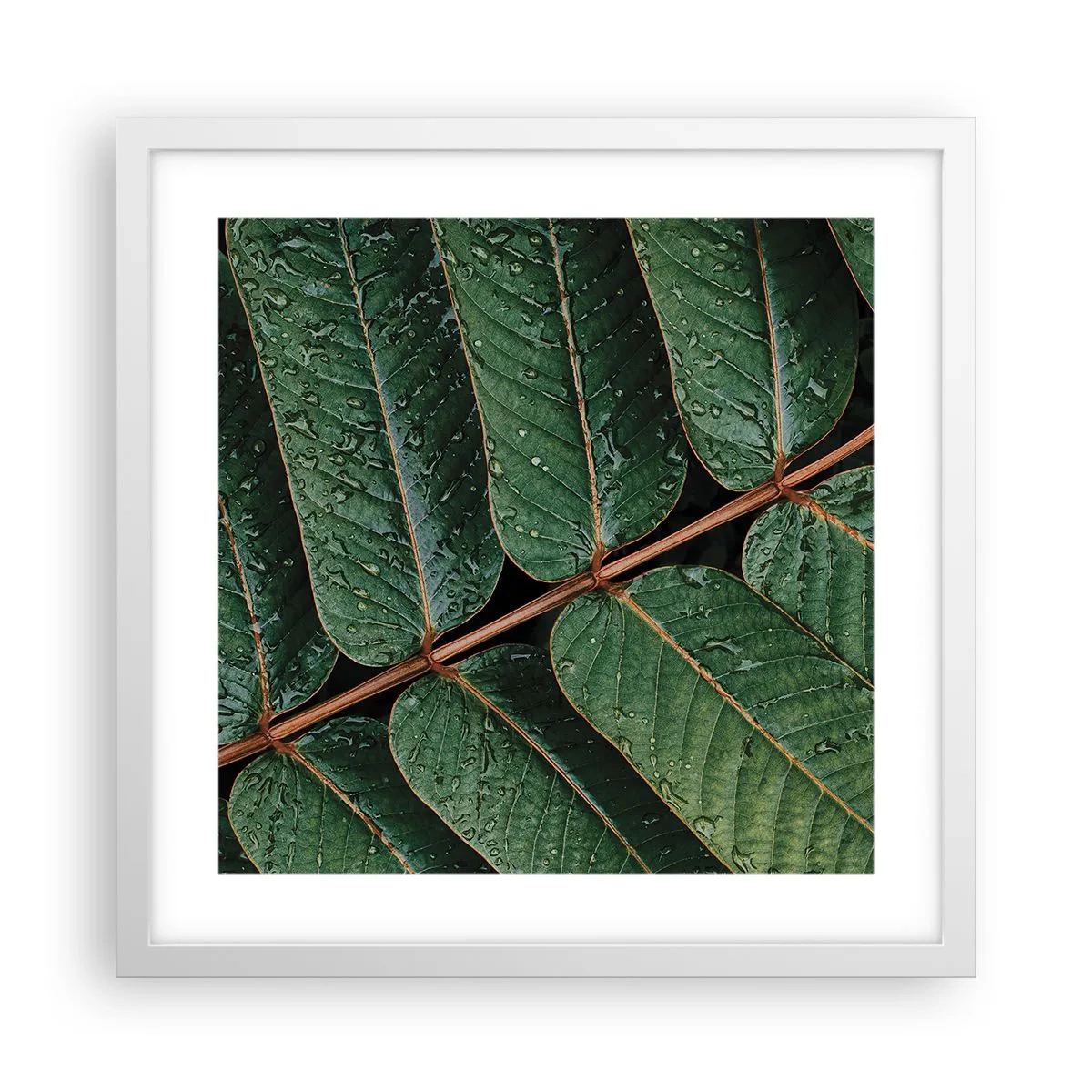 Poster in cornice bianca - Al ritmo verde - 40x40 cm