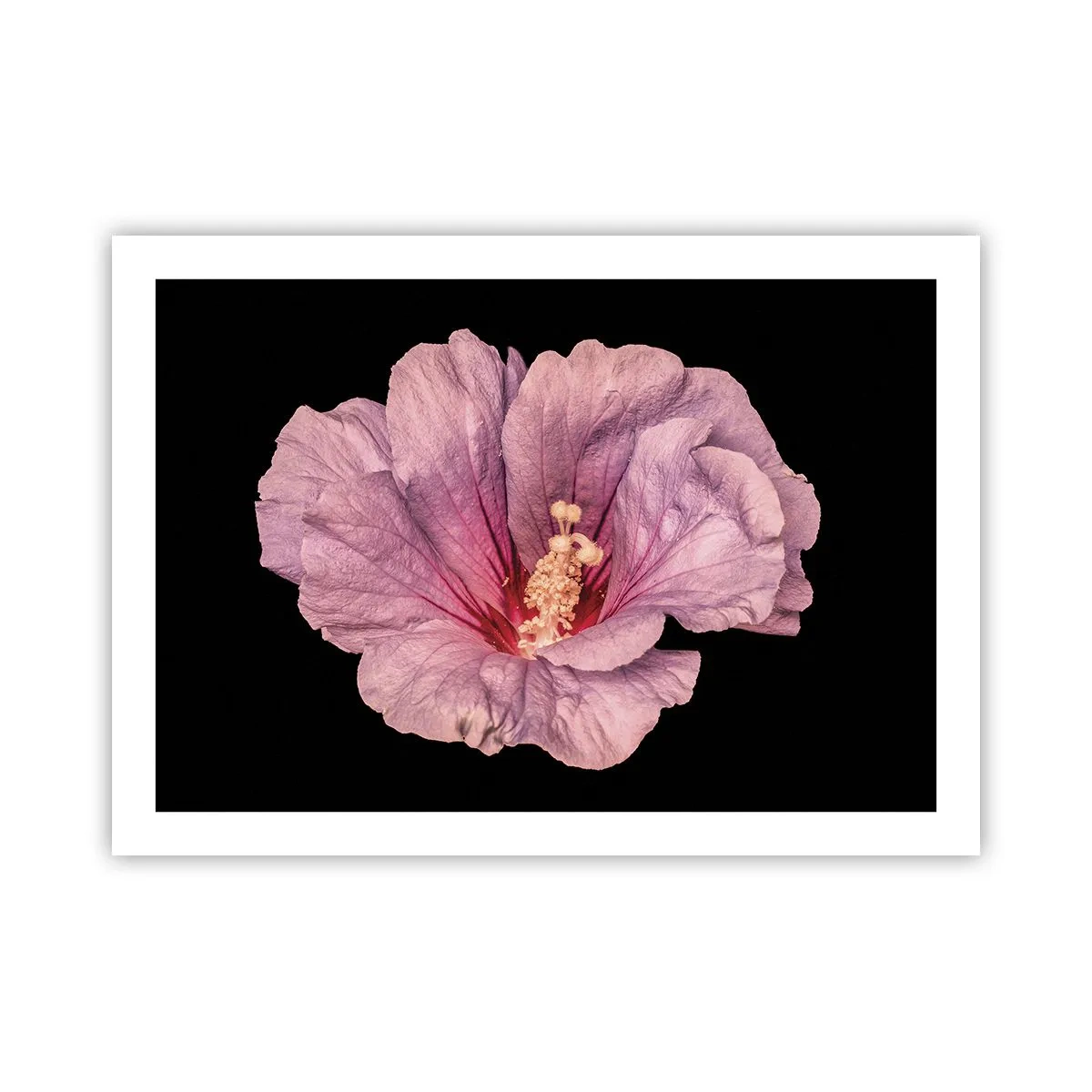 Poster - Dritto al cuore - 70x50 cm